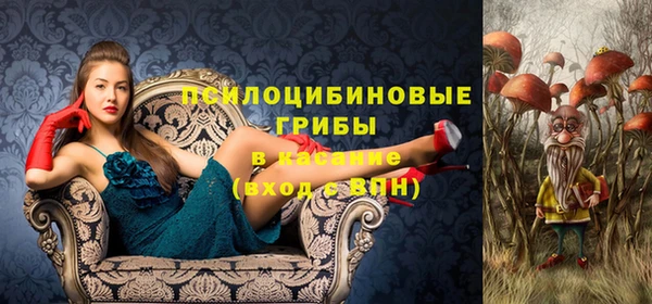 соль курить ск Верхний Тагил