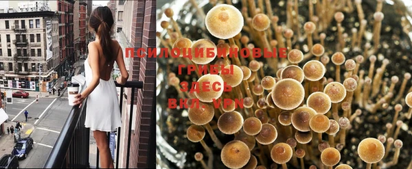 соль курить ск Верхний Тагил